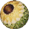 FREE PATTERN