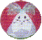 FREE PATTERN