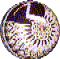 FREE PATTERN